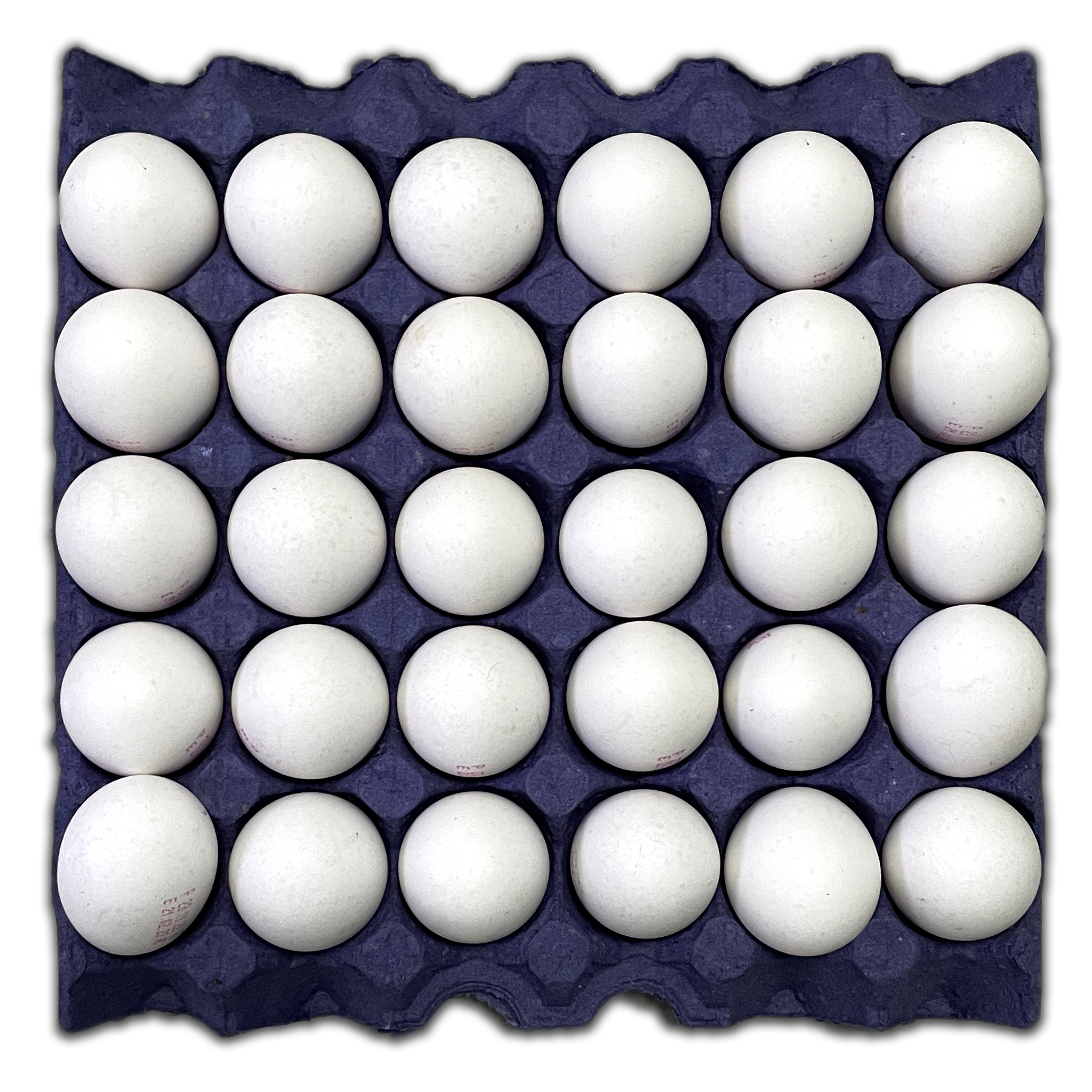 EGGS WHITE MEDIUM SIZE 1 Tray ( 30 pcs )