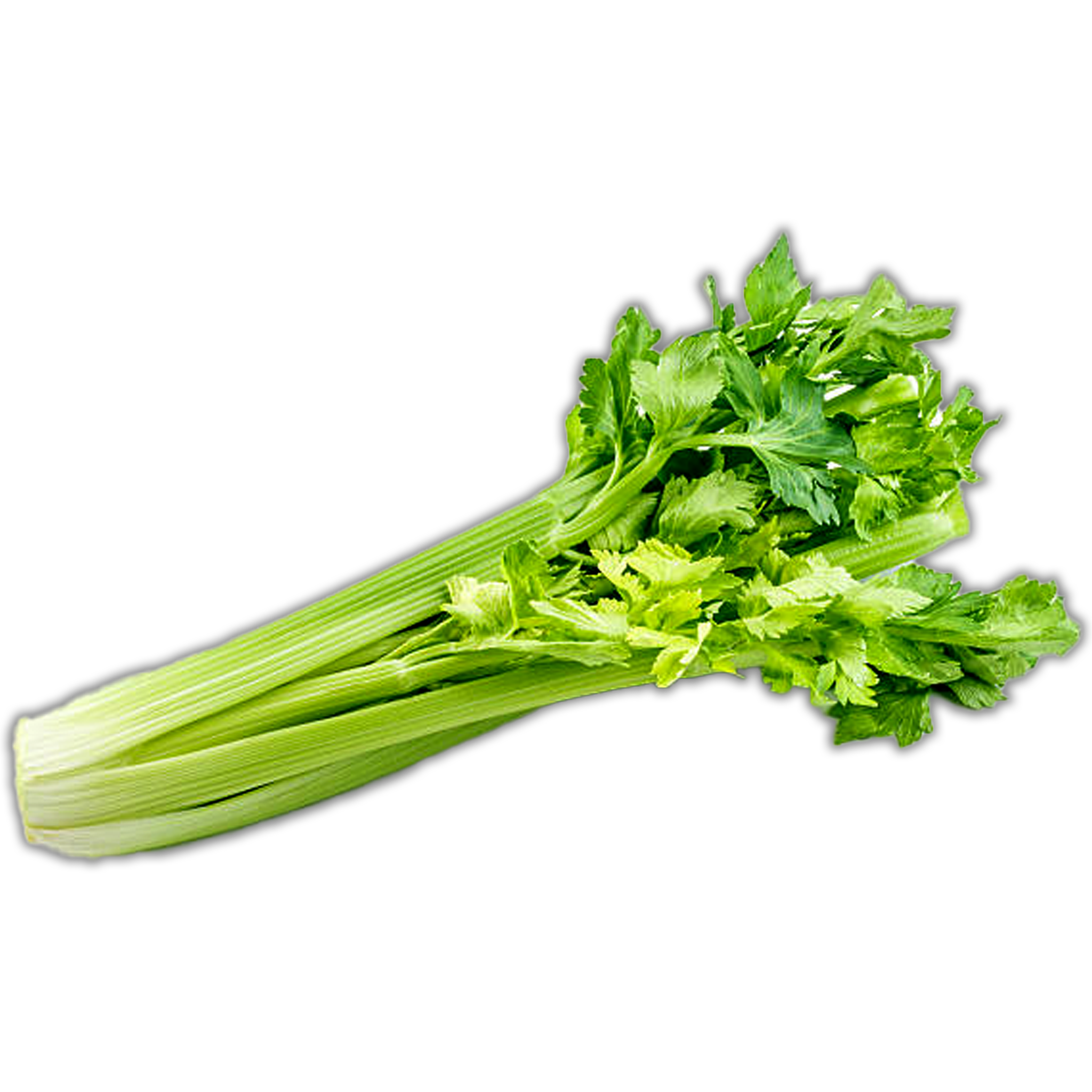 CELERY 250G