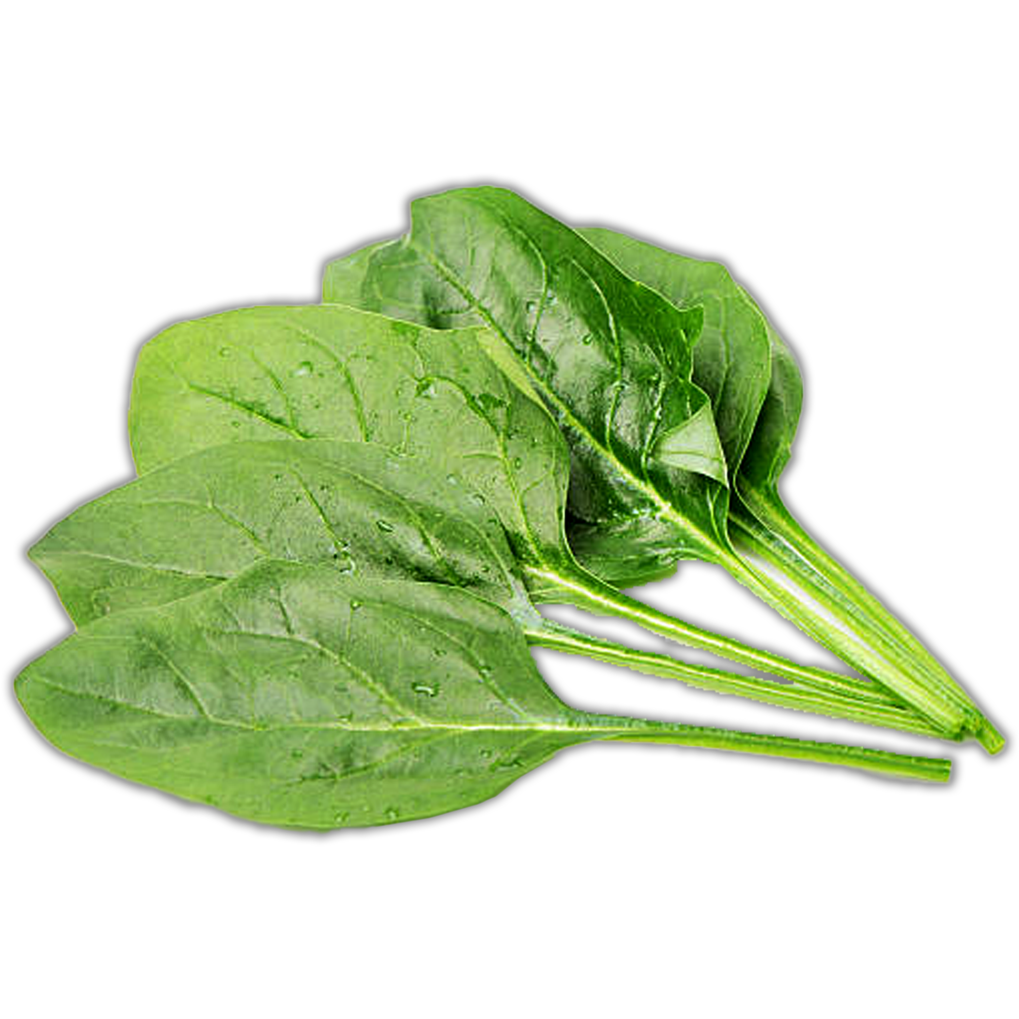 SPINACH BABY 125G