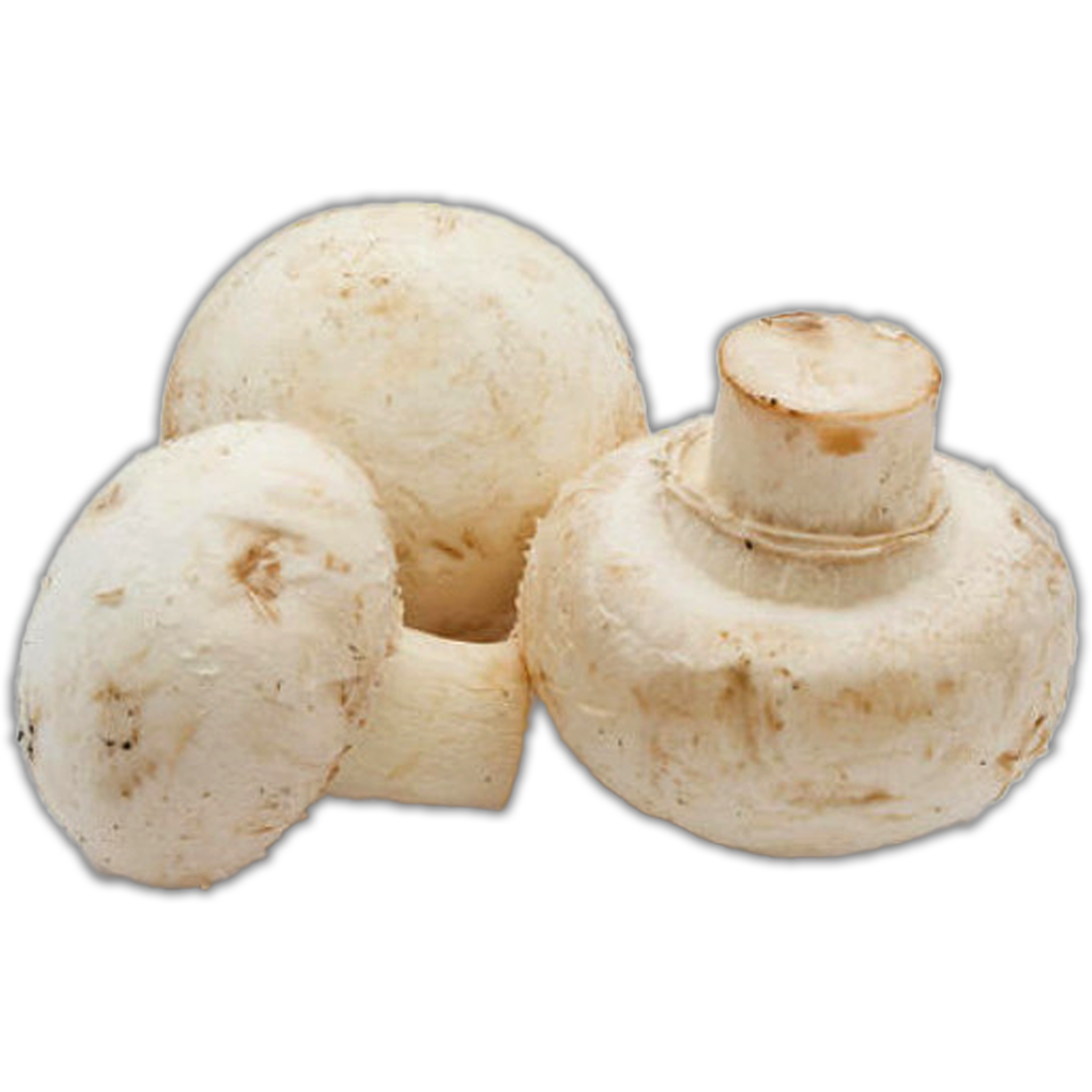 MUSHROOM BOTTON FRESH 250G
