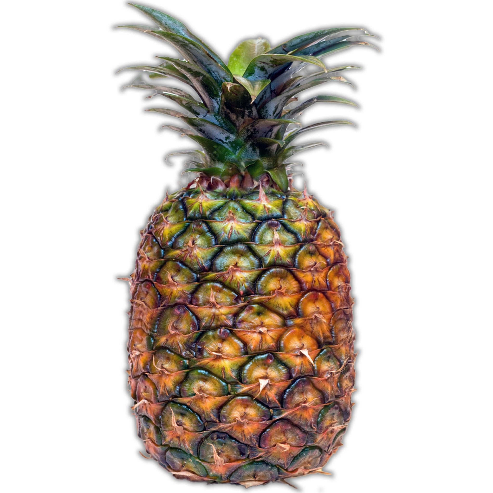 PINEAPPLE 2.50KG